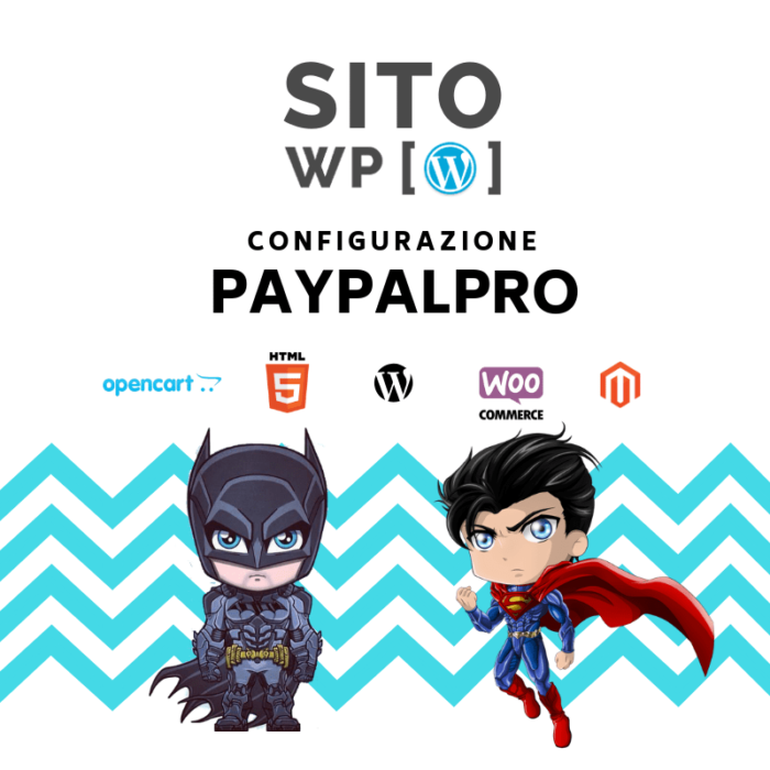 Piano assistenza-configurazione Paypal pro