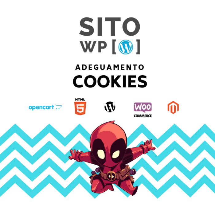 adeguamento legge cookies