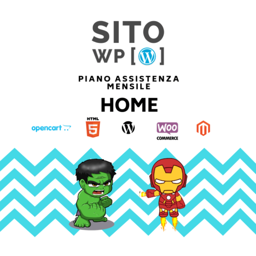 Piano-assistenza sito web mensile home
