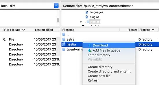 scarica backup tema